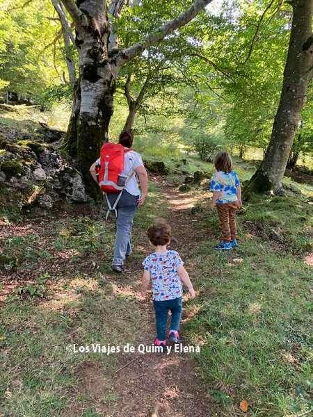 Por el Hayedo encantado de Urbasa