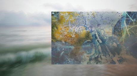 ICM Photography y la conferencia sobre cambio climático ICM Photography y la conferencia sobre cambio climático