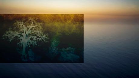 ICM Photography y la conferencia sobre cambio climático ICM Photography y la conferencia sobre cambio climático