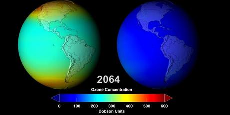 Cuando proteger el medio ambiente también salva vidas humanas