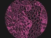 Sully Carrier (Keysound,2011)