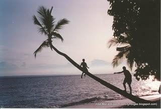 Lo que conviene hacer con las fotos a la vuelta de un viaje Lo que conviene hacer con las fotos a la vuelta de un viaje