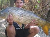 Pesca siluro