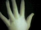 primera animación historia