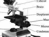 Microscopio óptico compuesto