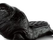 Walrus chair Máximo Riera