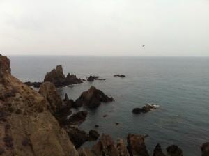 LA PLANIFICACIÓN REGULAR DE LA BÚSQUEDA DE EMPLEO