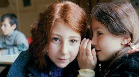 “Stella”: Una ventana al nuevo mundo “Stella”: Una ventana al nuevo mundo