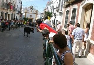 SUELTA MATINAL DEL TORO DE CUERDA DEL CASTILLO