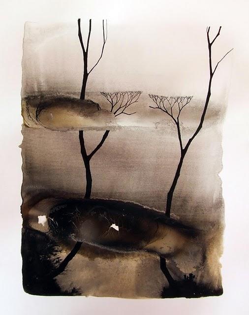 Imágenes de la sequía