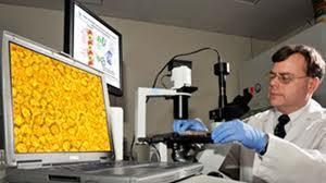 Nuevo medicamento contra todos los virus