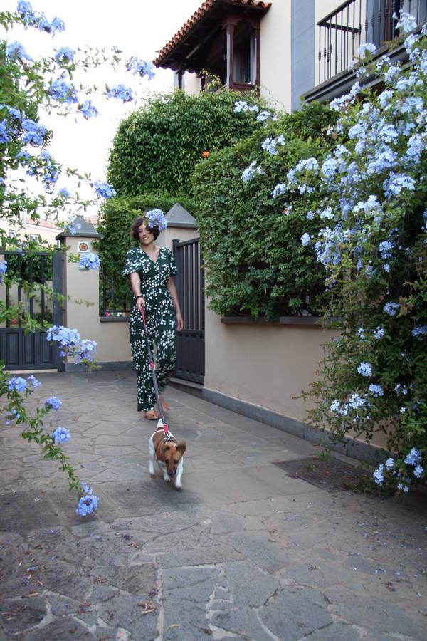 Home Sweet Home, I've been away for too long