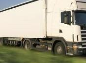 sector cree carné para camiones Polonia ilegal