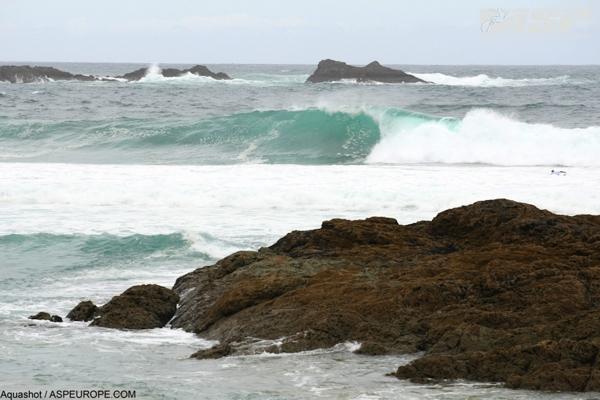 Cabreiroá PantÌn Classic PRO 2011