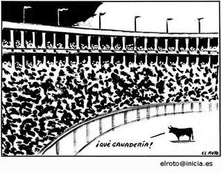 RotoToros ¿Qué hacemos con Tordesillas? Con ‘V’ de vergüenza