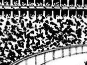 ¿Qué hacemos Tordesillas? vergüenza