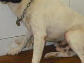 saber cazar delito condenado muerte. (Cadiz)