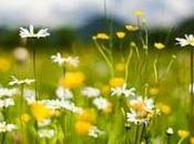 Amar vida, vivir amando.