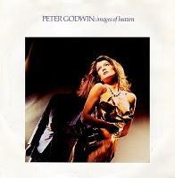 PETER GODWIN - IMAGES OF HEAVEN