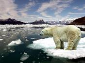 2011, nuevo mínimo histórico hielo marino Ártico