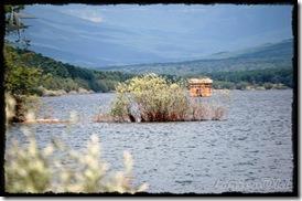 Cangrejos (9) Cangrejos (9)