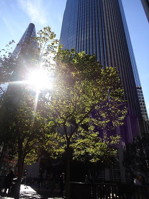 Cuarto día en San Francisco