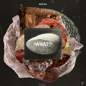 Bodi Bill – What?