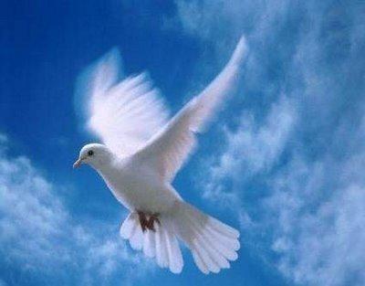 Miguel Ángel Cornejo Irazabal