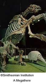 Visionlearning: biblioteca de temas científicos