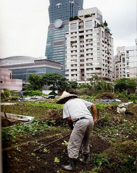 LA URBANIZACIÓN EN CHINA