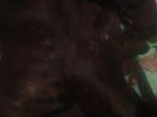 Galga condiciones extremas ¡¡por favor, necesita ayuda!!