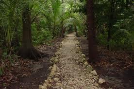 Cómo se abrió el sendero?