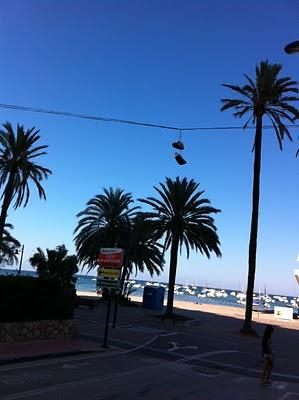 Zapatilla y Cable desde Murcia