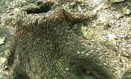 Enlaces de la semana (37/11)