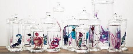 Enlaces de la semana (37/11)