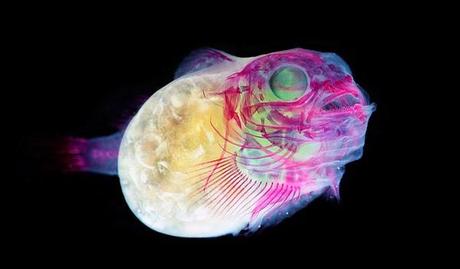 Enlaces de la semana (37/11)