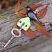 lampwork  bird, raku house, microfaceted rock crystal quartz, petite vintage skeleton key, and sterling silver necklace