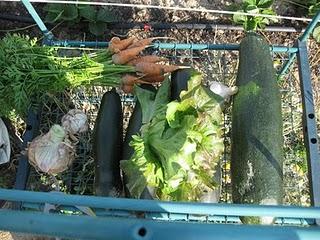 Nueva temporada en la Huerta (Septiembre)