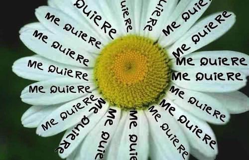 Cosas que me han llamado la atención…