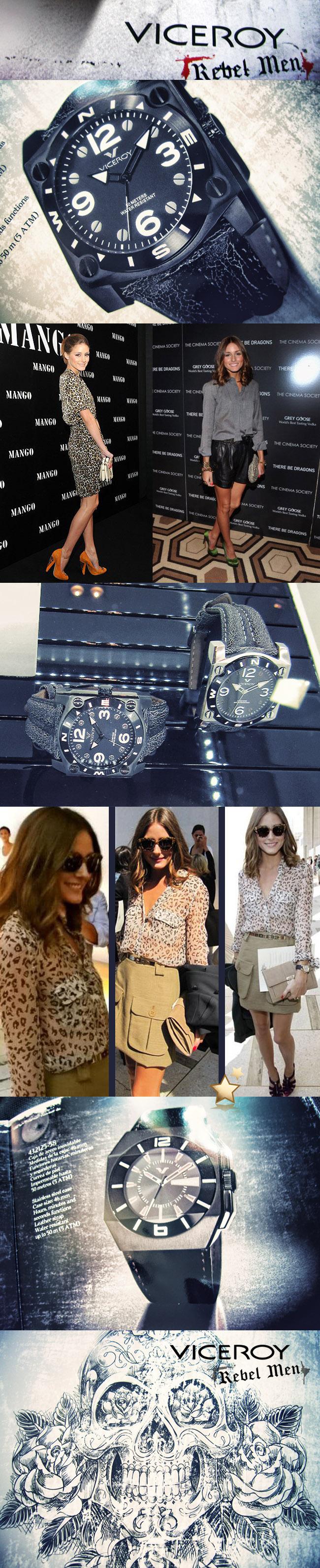 fashion brands... viceroy