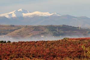 La vendimia de la Ruta del Vino de Rioja Alavesa en enobús