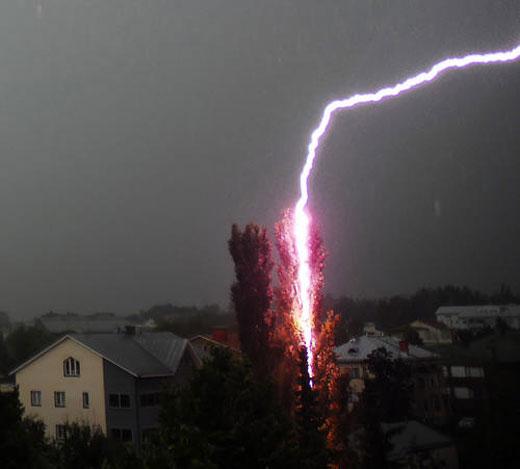 Grandes fotografías tomadas en el momento justo