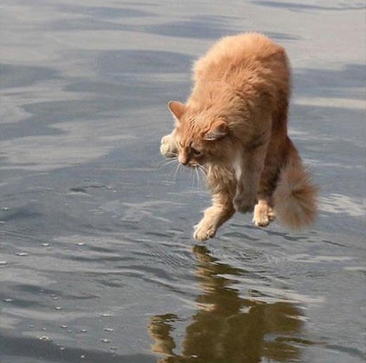 Grandes fotografías tomadas en el momento justo