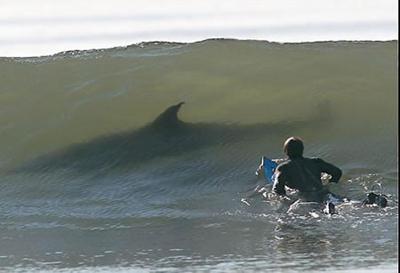 Grandes fotografías tomadas en el momento justo