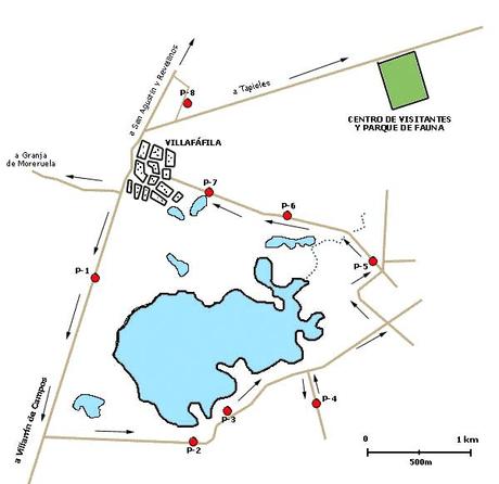 Lagunas de Villafafila