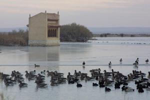 Lagunas de Villafafila Lagunas de Villafafila