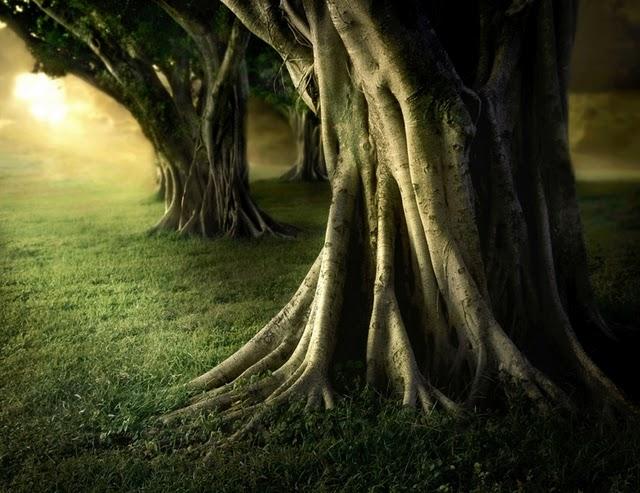 Recuerda quien eres . Primavera & Silencio