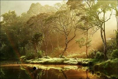 Recuerda quien eres . Primavera & Silencio