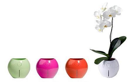 Macetas inteligentes Macetas inteligentes