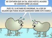 Milagro superficial